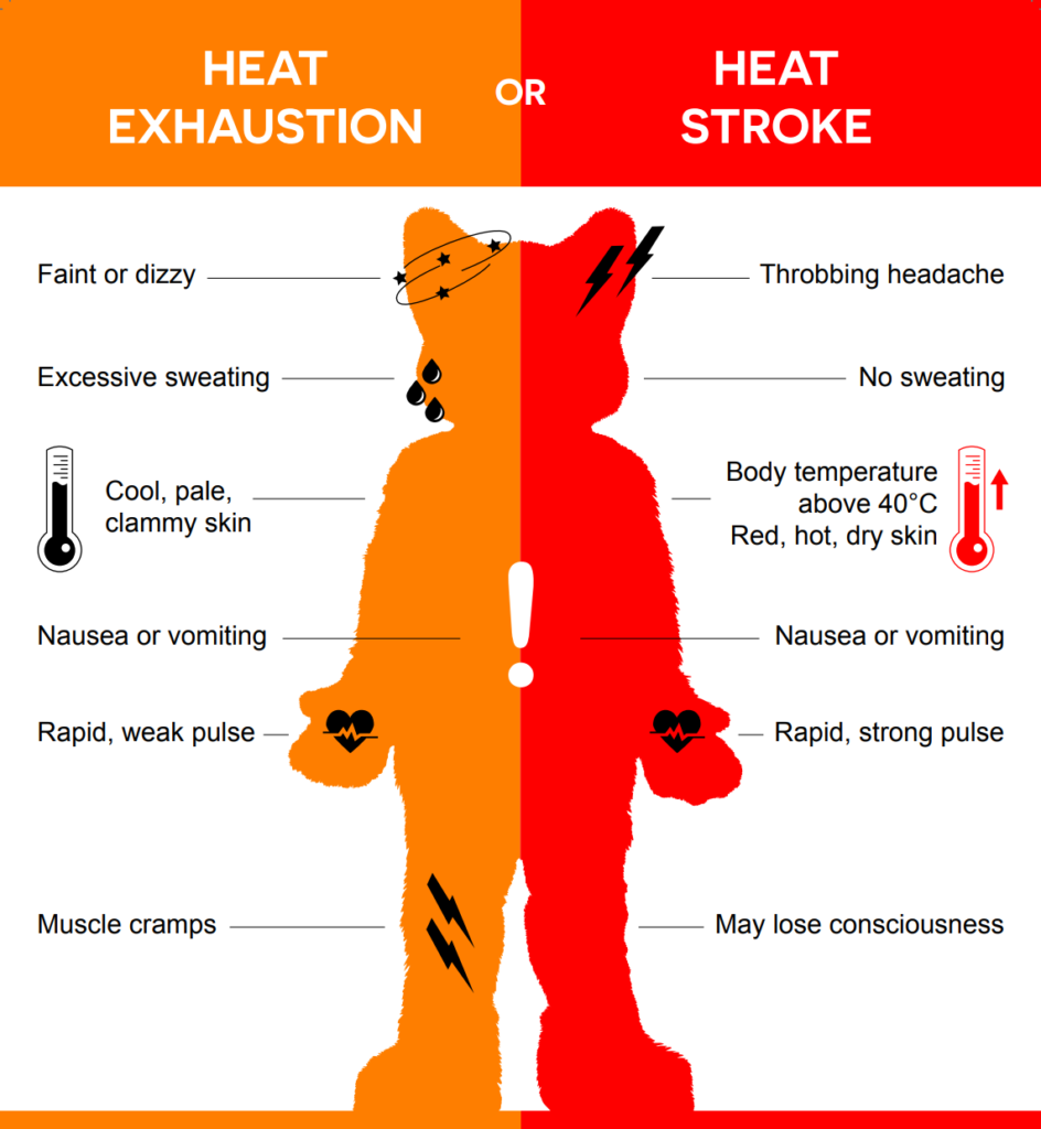 Heat Exhaustion or Heat Stroke